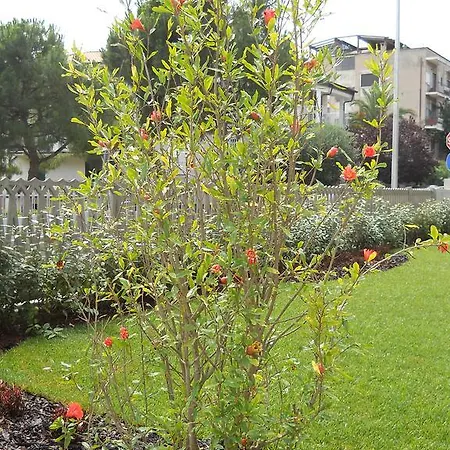 Frühstückspension Erika